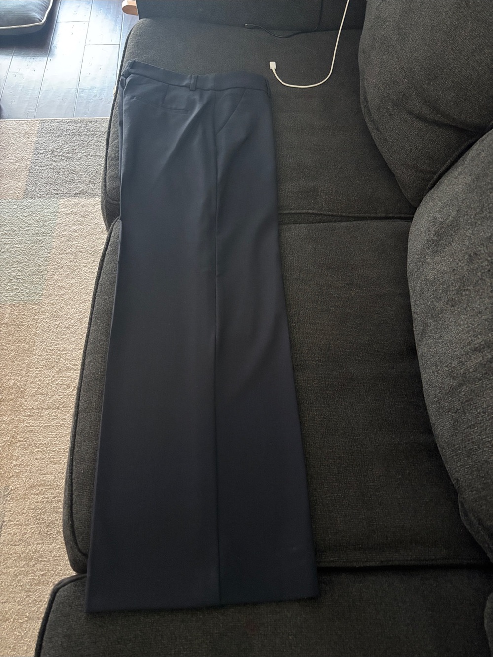 Express Wide Leg Dress Pants in Navy